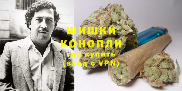 амф Аркадак