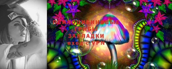 амф Аркадак