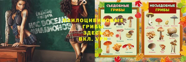 ALPHA-PVP Армянск
