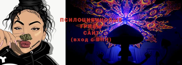 амф Аркадак